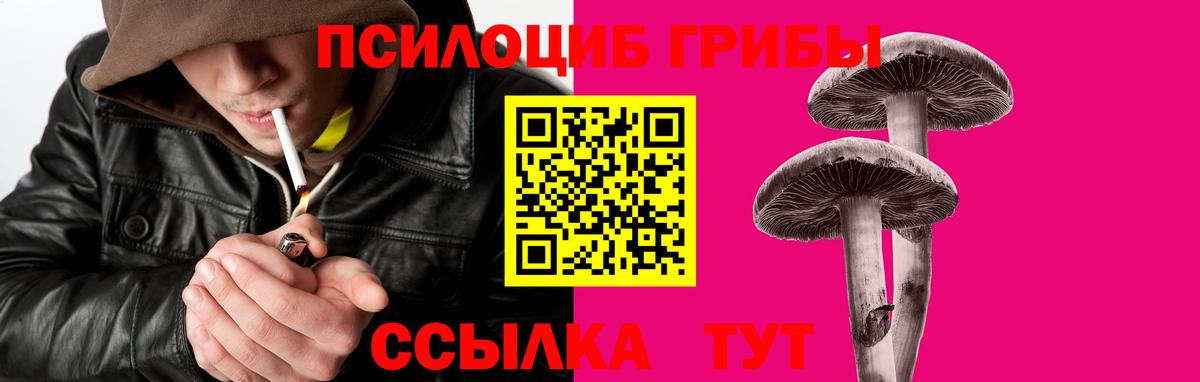 Псилоцибиновые грибы Psilocybine cubensis Ахтубинск