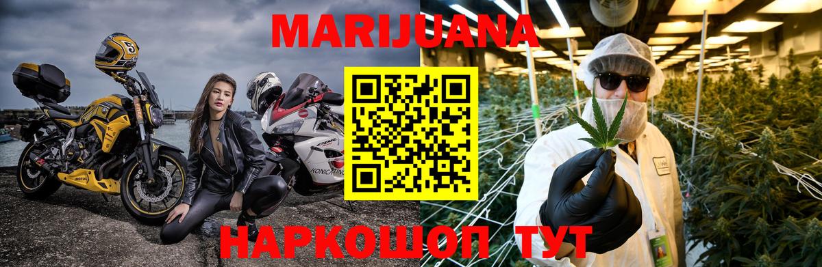 Бошки марихуана OG Kush Ахтубинск